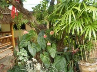 General view thumbnail 12