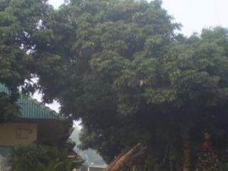 General view thumbnail 13