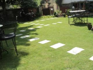 Terrace
 di Hotel Blue Horizon