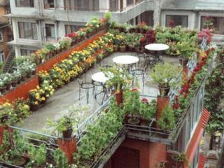 Terrace
 di Hotel Blue Horizon