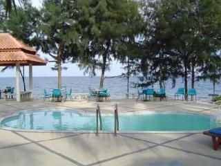 Pool thumbnail 19
