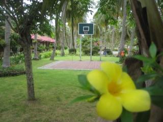 Terrace thumbnail 8