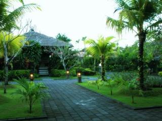 Terrace thumbnail 6