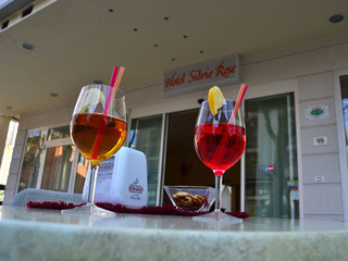 Silvie Rose, Rimini