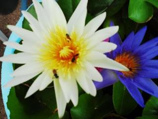General view thumbnail 54