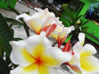 General view thumbnail 56