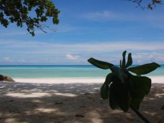 General view thumbnail 9