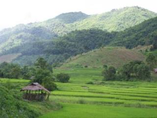 General view thumbnail 57