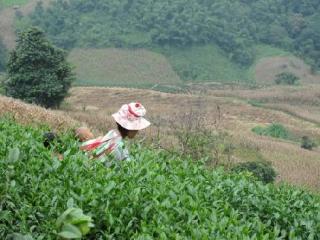 General view thumbnail 82