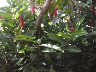 General view thumbnail 126