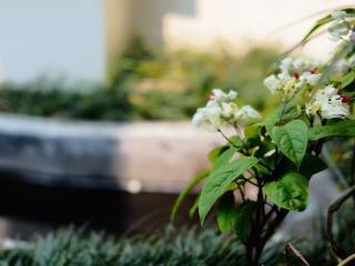 General view thumbnail 77