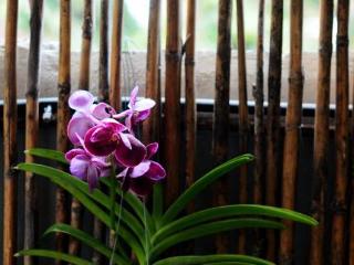 General view thumbnail 78