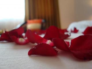 General view thumbnail 41