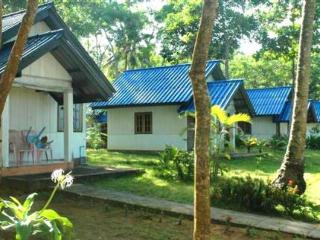 General view