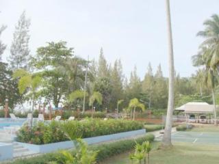 General view thumbnail 8