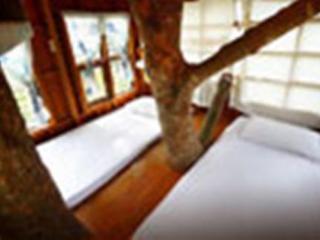General view thumbnail 12