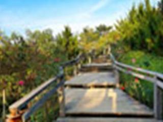 General view thumbnail 17