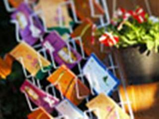General view thumbnail 19