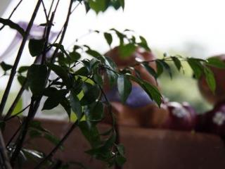 General view thumbnail 21