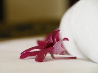General view thumbnail 44
