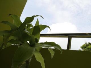 General view thumbnail 50