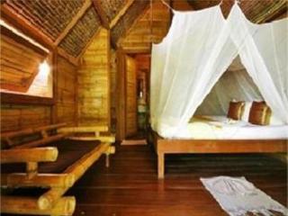 General view thumbnail 4