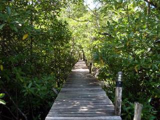 General view thumbnail 8