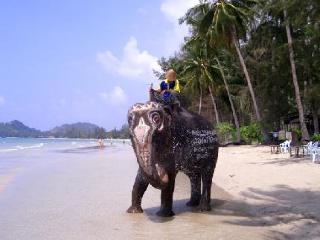 General view thumbnail 9