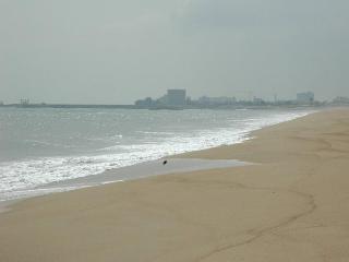 Anjung Pantai Seberang - Strand