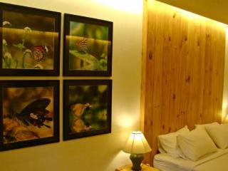 General view thumbnail 24