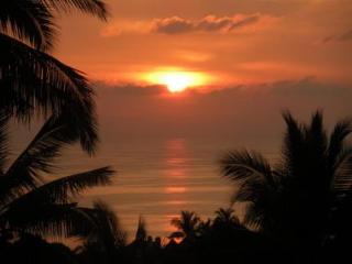 General view thumbnail 49