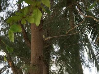 General view thumbnail 24