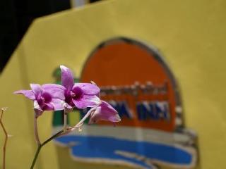 General view thumbnail 34