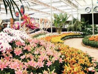 General view thumbnail 11