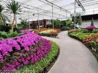 General view thumbnail 13