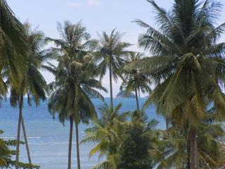 General view thumbnail 13