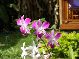 General view thumbnail 16