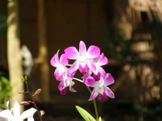 General view thumbnail 17