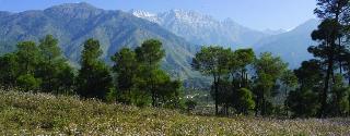 Club Mahindra Kangra Valley