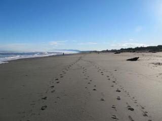 General view thumbnail 12