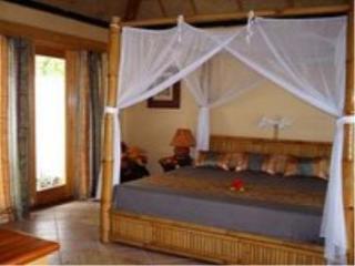 General view
 di Koro Sun Resort