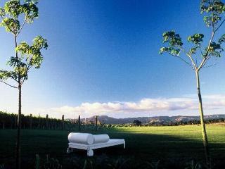 General view
 di Takatu Lodge  Vineyard