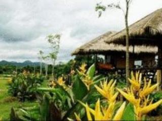 General view thumbnail 3