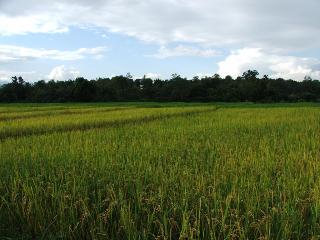General view thumbnail 13