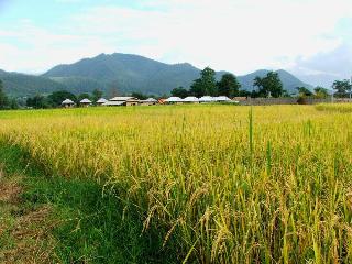 General view thumbnail 17