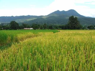 General view thumbnail 26
