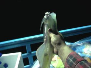 General view thumbnail 6