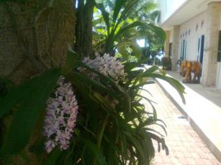 General view thumbnail 12