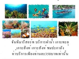 General view thumbnail 17