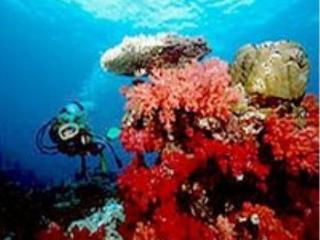 General view
 di Matamanoa Island